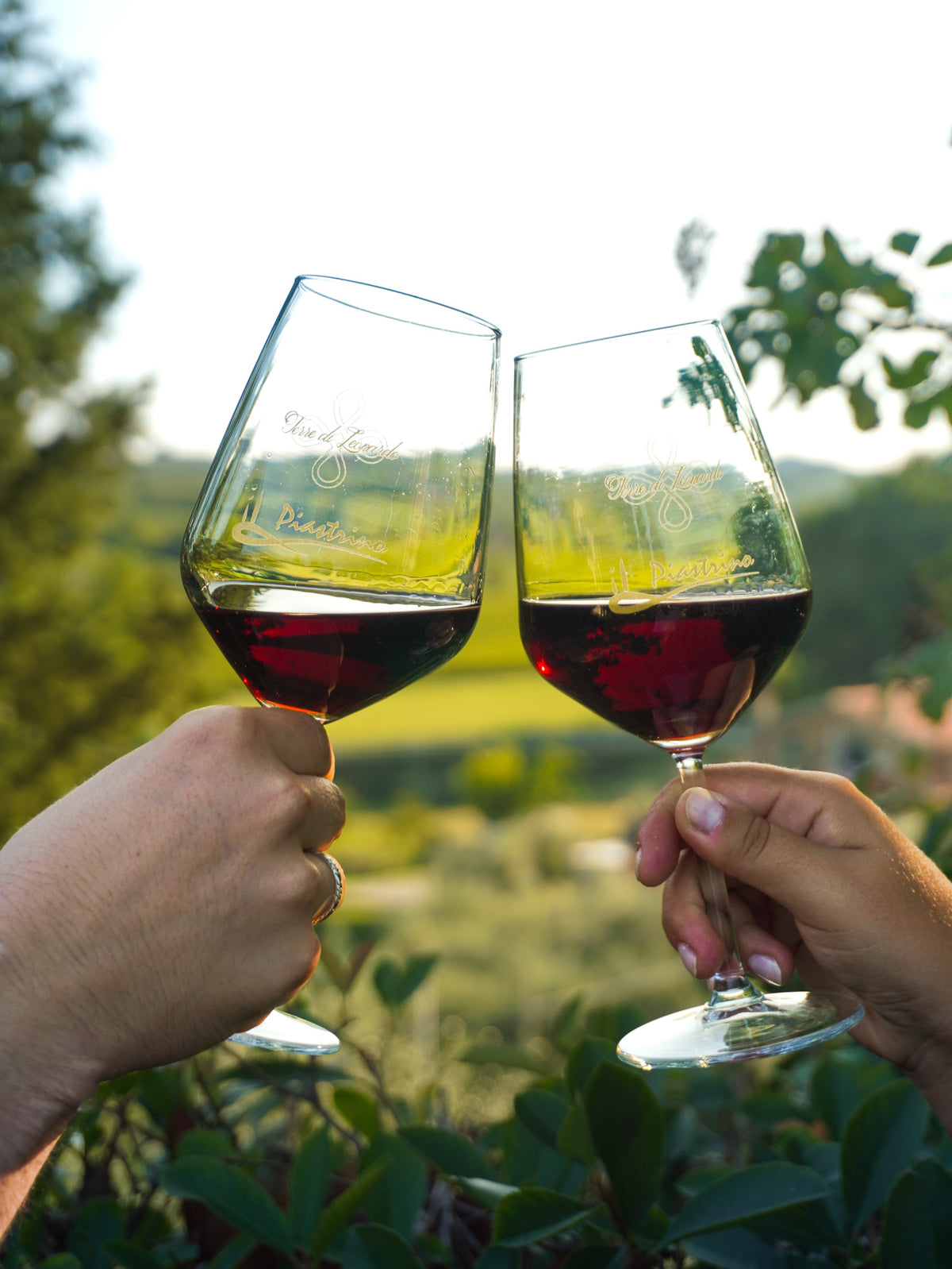 Esperienza Degustazione